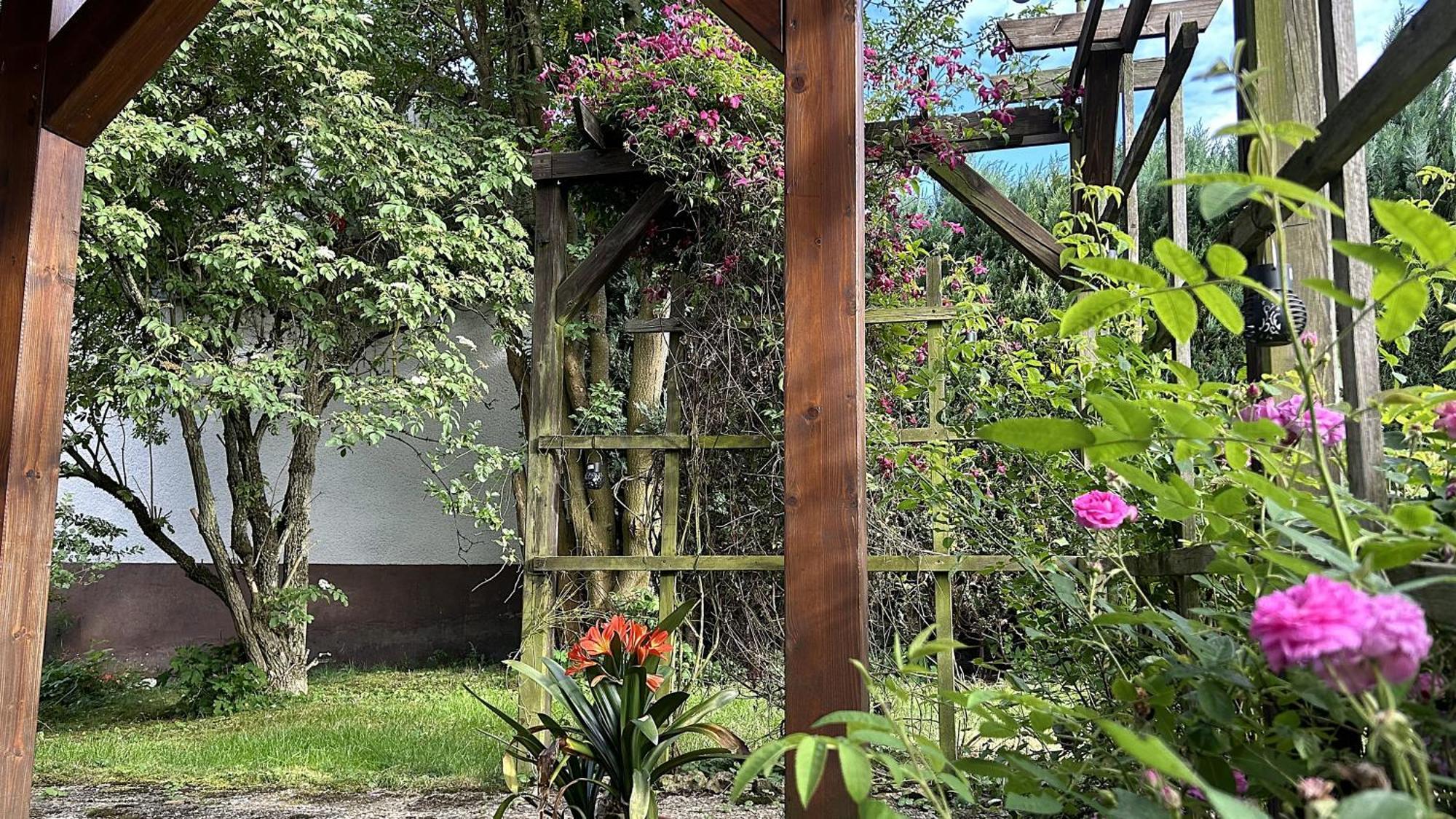 Grosszuegige Wohnung Mit Terrasse Und Gartenzugang - Das Komplette Erdgeschoss Bindlach Extérieur photo